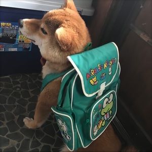 Meet your Posher, Chen